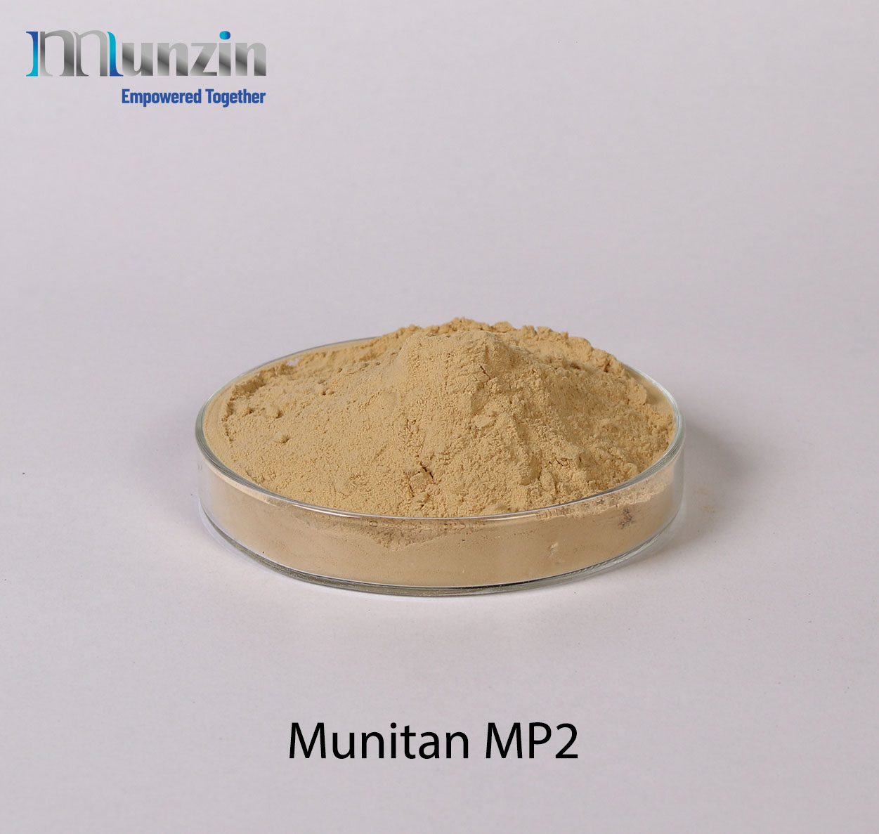 Munitan MP2